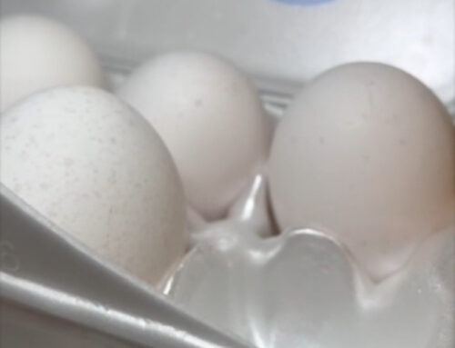 The Easy-Peel Hard-Boiled Egg Hack You Need to Try