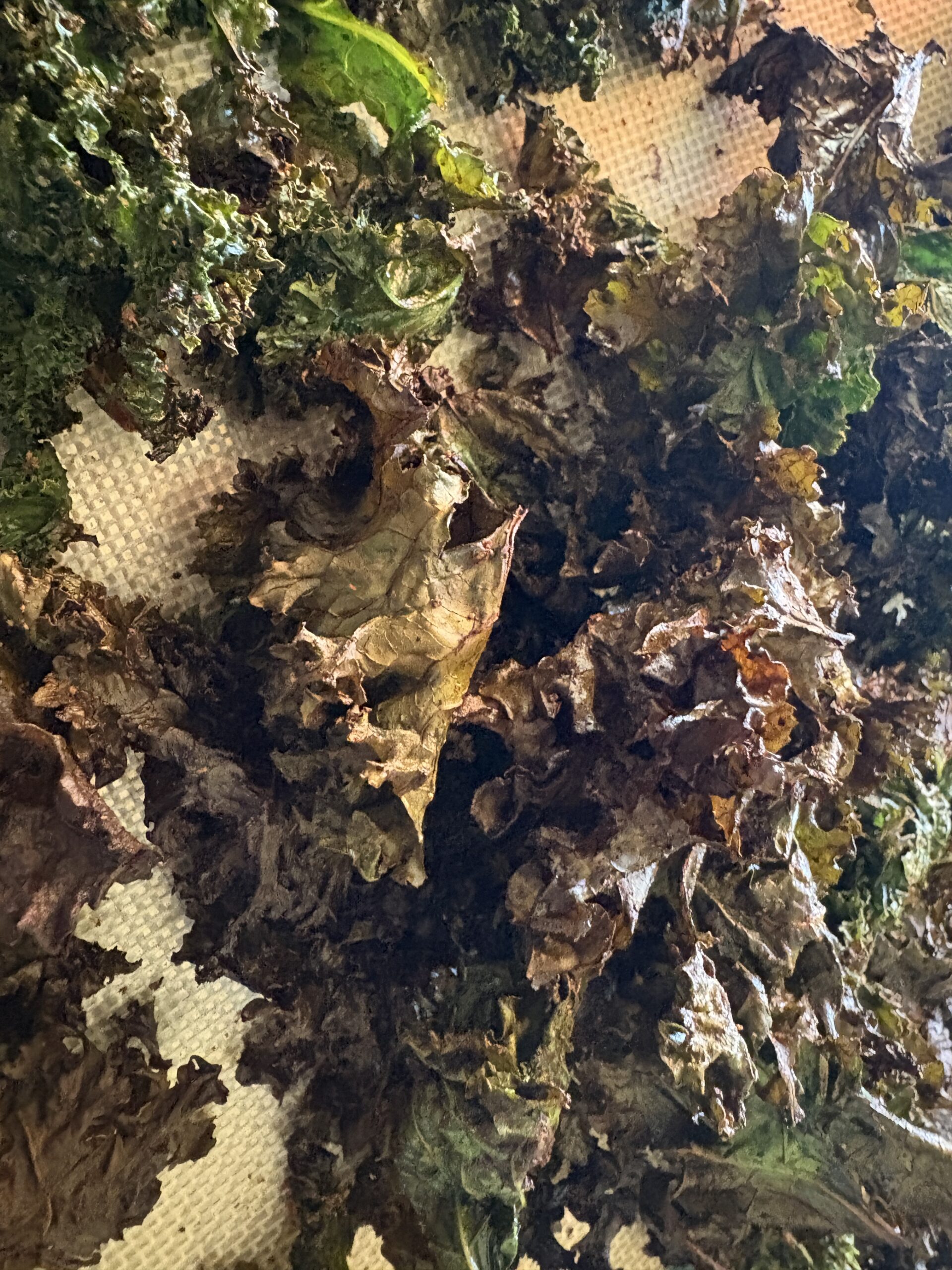 Easy $1.29 Kale Chips Recipe | Smart Shopper Daphne Monroe